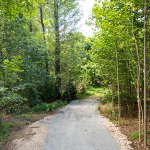 Photo #3 of W HOOVER, REVA, VA 114.9 acres