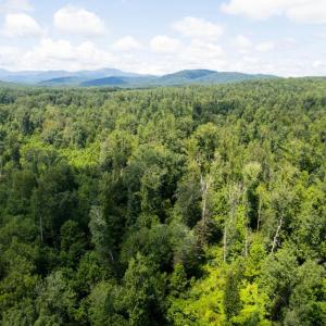 Photo #15 of W HOOVER, MADISON, VA 114.9 acres