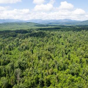 Photo #6 of W HOOVER, MADISON, VA 114.9 acres
