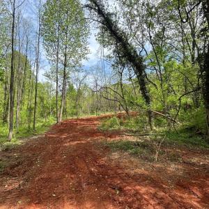 Photo #4 of JAMES MADISON HWY, ORANGE, VA 6.5 acres