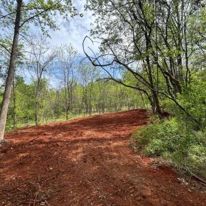 Photo #13 of JAMES MADISON HWY, ORANGE, VA 6.5 acres
