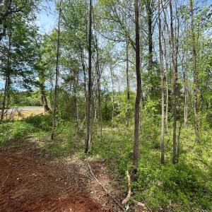 Photo #15 of JAMES MADISON HWY, ORANGE, VA 6.5 acres