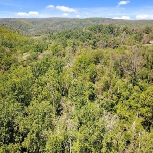 Photo #2 of BLUE RIDGE - LEEDS MANOR ROAD, DELAPLANE, VA 11.8 acres