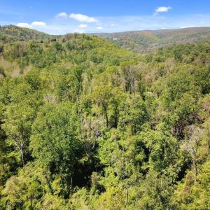 Photo #3 of BLUE RIDGE - LEEDS MANOR ROAD, DELAPLANE, VA 11.8 acres