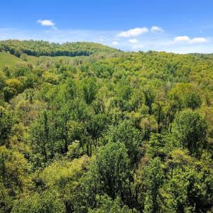 Photo #4 of BLUE RIDGE - LEEDS MANOR ROAD, DELAPLANE, VA 11.8 acres