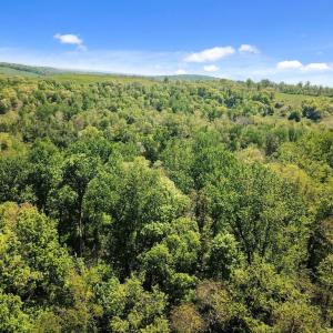 Photo #5 of BLUE RIDGE - LEEDS MANOR ROAD, DELAPLANE, VA 11.8 acres