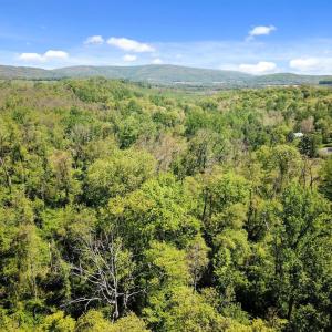 Photo #6 of BLUE RIDGE - LEEDS MANOR ROAD, DELAPLANE, VA 11.8 acres