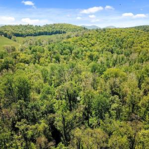 Photo #7 of BLUE RIDGE - LEEDS MANOR ROAD, DELAPLANE, VA 11.8 acres