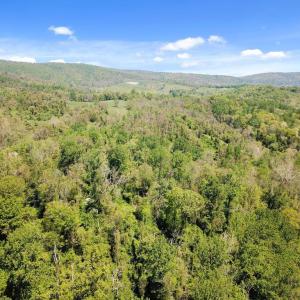 Photo #8 of BLUE RIDGE - LEEDS MANOR ROAD, DELAPLANE, VA 11.8 acres