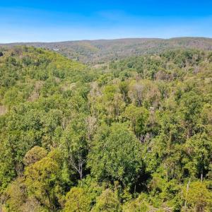 Photo #9 of BLUE RIDGE - LEEDS MANOR ROAD, DELAPLANE, VA 11.8 acres