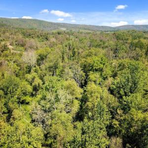 Photo #10 of BLUE RIDGE - LEEDS MANOR ROAD, DELAPLANE, VA 11.8 acres