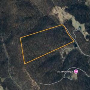 Photo #1 of LEEDS CHAPEL LN, MARKHAM, VA 50.0 acres
