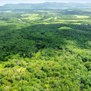 Photo #14 of FORT VALLEY, LURAY, VA 3.2 acres
