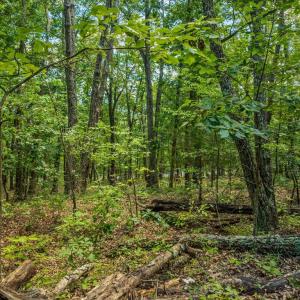 Photo #8 of FORT VALLEY, LURAY, VA 3.2 acres