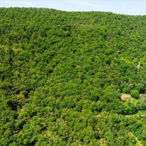 Photo #5 of FORT VALLEY, LURAY, VA 3.2 acres