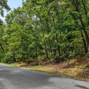 Photo #2 of FORT VALLEY, LURAY, VA 3.2 acres
