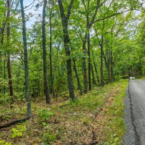 Photo #7 of FORT VALLEY, LURAY, VA 3.2 acres
