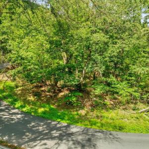 Photo #4 of FORT VALLEY, LURAY, VA 3.2 acres