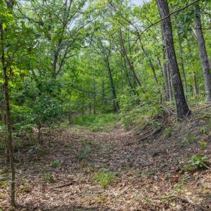 Photo #13 of FORT VALLEY, LURAY, VA 3.2 acres