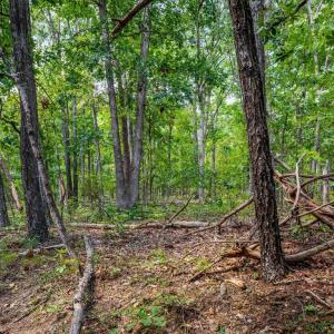 Photo #15 of FORT VALLEY, LURAY, VA 3.2 acres