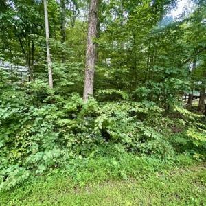 Photo #4 of LAKESHORE DR, LOUISA, VA 0.6 acres