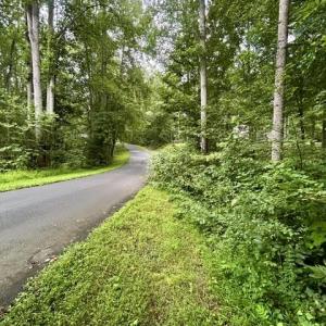 Photo #5 of LAKESHORE DR, LOUISA, VA 0.6 acres