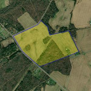 Photo #4 of 11378 TIMBUKTU LN, MIDLAND, VA 79.7 acres