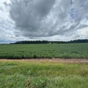 Photo #1 of 11378 TIMBUKTU LN, MIDLAND, VA 79.7 acres