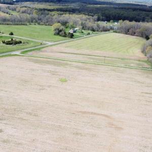 Photo #17 of 11312 TIMBUKTU LN, MIDLAND, VA 213.5 acres