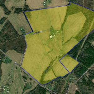 Photo #2 of 11312 TIMBUKTU LN, MIDLAND, VA 213.5 acres