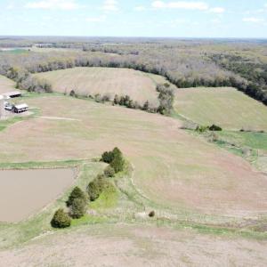 Photo #11 of 11312 TIMBUKTU LN, MIDLAND, VA 213.5 acres