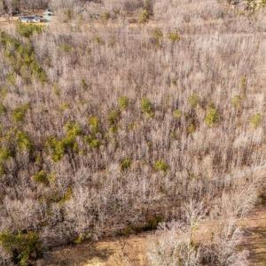 Photo #6 of 82 COSNER RD, LOUISA, VA 7.1 acres