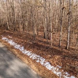 Photo #10 of 82 COSNER RD, LOUISA, VA 7.1 acres