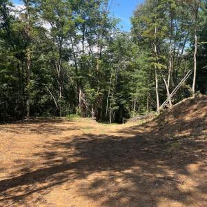 Photo #1 of DRY CREEK RD, LURAY, VA 2.2 acres