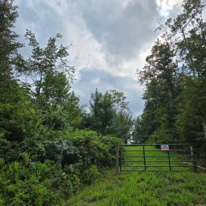Photo #4 of WEAVER HOLLOW RD, BANCO, VA 3.0 acres