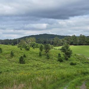 Photo #1 of WEAVER HOLLOW RD, BANCO, VA 3.0 acres