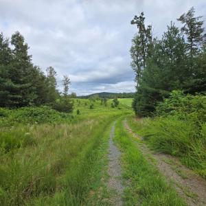 Photo #11 of WEAVER HOLLOW RD, BANCO, VA 3.0 acres