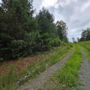 Photo #9 of WEAVER HOLLOW RD, BANCO, VA 3.0 acres