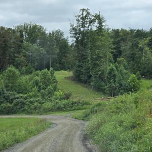 Photo #12 of WEAVER HOLLOW RD, BANCO, VA 3.0 acres