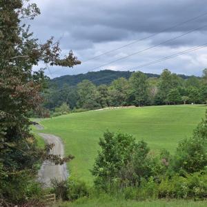 Photo #2 of WEAVER HOLLOW RD, BANCO, VA 3.0 acres
