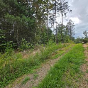 Photo #10 of WEAVER HOLLOW RD, BANCO, VA 3.0 acres