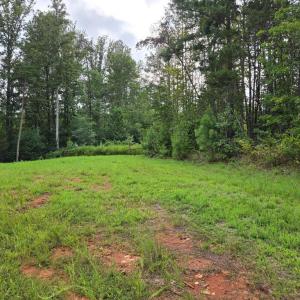 Photo #6 of WEAVER HOLLOW RD, BANCO, VA 3.0 acres