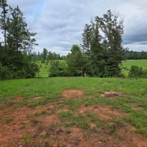 Photo #7 of WEAVER HOLLOW RD, BANCO, VA 3.0 acres