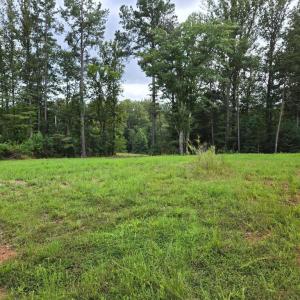 Photo #5 of WEAVER HOLLOW RD, BANCO, VA 3.0 acres