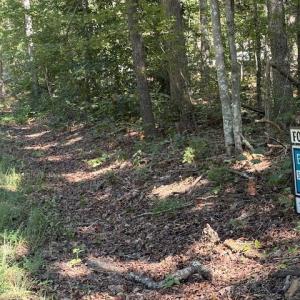 Photo #2 of GOLDMINE RD, GOLDVEIN, VA 6.9 acres
