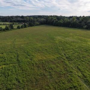 Photo #3 of OAK SHADE, JEFFERSONTON, VA 16.9 acres