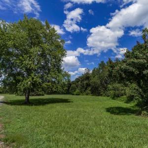 Photo #12 of OAK SHADE, JEFFERSONTON, VA 16.9 acres