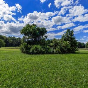 Photo #11 of OAK SHADE, JEFFERSONTON, VA 16.9 acres