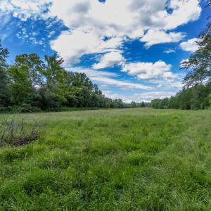 Photo #9 of OAK SHADE, JEFFERSONTON, VA 16.9 acres