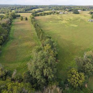 Photo #2 of OAK SHADE, JEFFERSONTON, VA 16.9 acres